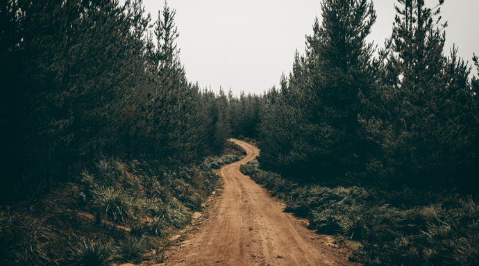 Earth Day: Wear the Change with Faherty & Marine Layer
